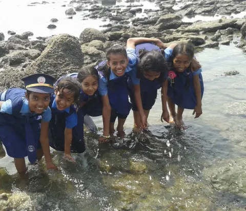 ভাড়ুয়াখালী আইডিয়াল শিক্ষা নিকেতন